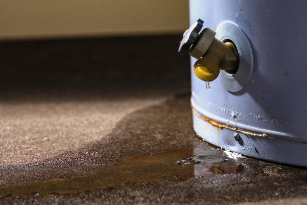 Best 24-hour water damage restoration  in Minnetrista, MN