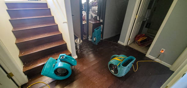 Best Local water damage restoration  in Minnetrista, MN