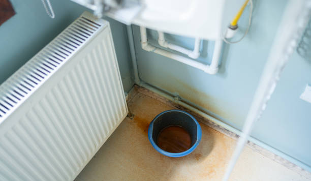Best Carpet water damage restoration  in Minnetrista, MN