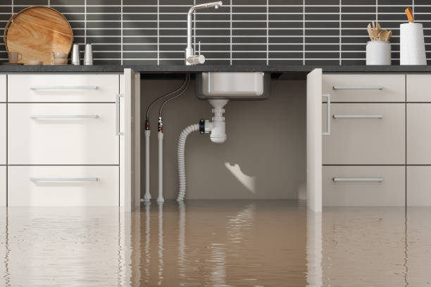 Best Basement water damage restoration  in Minnetrista, MN
