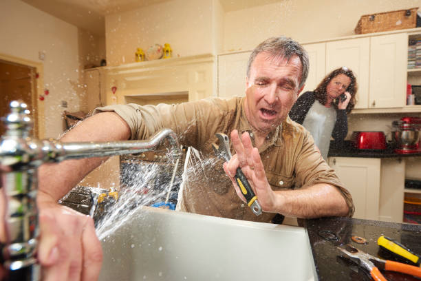 Best Water damage restoration mold remediation  in Minnetrista, MN
